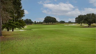 59 Lexington Drive thumbnail image 23