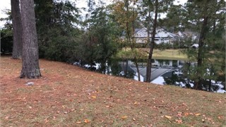 17 Belmont Drive thumbnail image 4