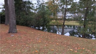 17 Belmont Drive thumbnail image 7