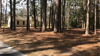 121 Summerton Drive thumbnail image 4