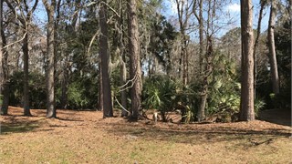 23 Hunting Court thumbnail image 6