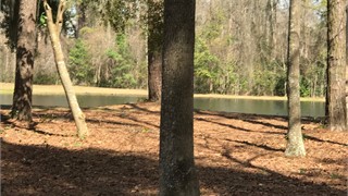 29 E. Summerton Drive thumbnail image 6