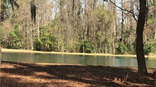 29 E. Summerton Drive thumbnail image 7