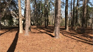 29 E. Summerton Drive thumbnail image 5