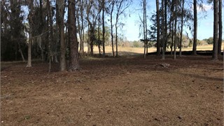 33 Manchester Drive thumbnail image 4