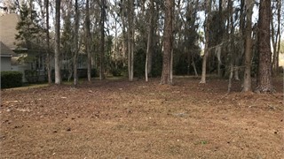 33 Manchester Drive thumbnail image 5