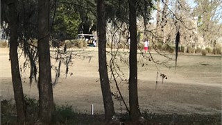 33 Manchester Drive thumbnail image 6