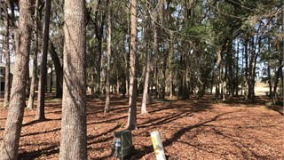 57 Manchester Drive thumbnail image 4