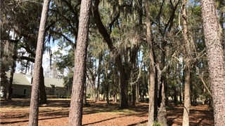 57 Manchester Drive thumbnail image 5