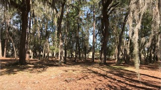 57 Manchester Drive thumbnail image 6