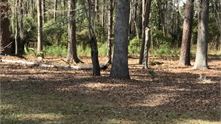 59 Newberry Court thumbnail image 6