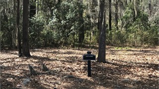 65 Lexington Drive thumbnail image 5