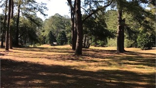 52 Kershaw Drive thumbnail image 7