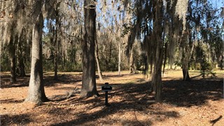 67 Lexington Drive thumbnail image 7