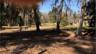 67 Lexington Drive thumbnail image 6