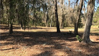 67 Lexington Drive thumbnail image 4