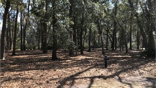 1 Oconee Court thumbnail image 5