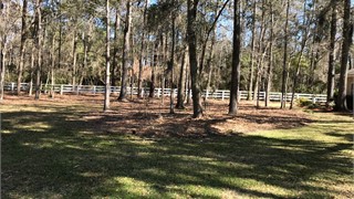 60 Newberry Court thumbnail image 4