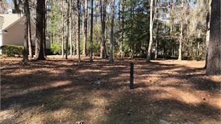 37 Newberry Court thumbnail image 4