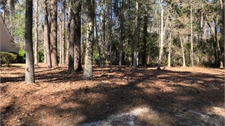 37 Newberry Court thumbnail image 5