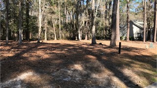 37 Newberry Court thumbnail image 6