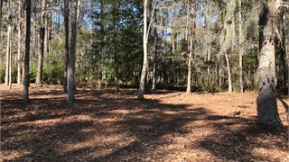 37 Newberry Court thumbnail image 7