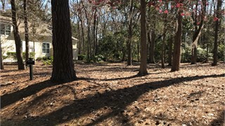 40 Newberry Court thumbnail image 5