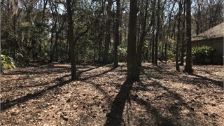 40 Newberry Court thumbnail image 6