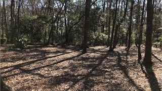 40 Newberry Court thumbnail image 7