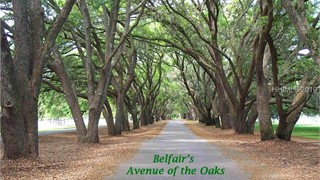 40 Newberry Court thumbnail image 8