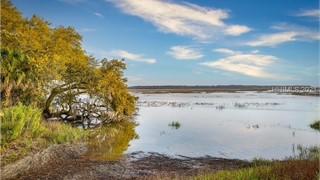 364 Bamberg Drive thumbnail image 4