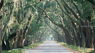 364 Bamberg Drive thumbnail image 10