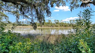 89 Cumberland Drive thumbnail image 39