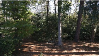 9 Hunting Court thumbnail image 10