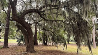 12 Summerton Drive thumbnail image 6