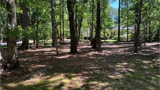 35 East Summerton Drive thumbnail image 4