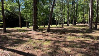 35 East Summerton Drive thumbnail image 9