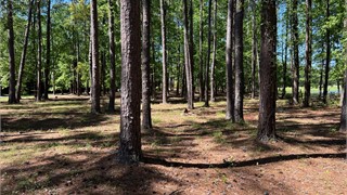 35 East Summerton Drive thumbnail image 10