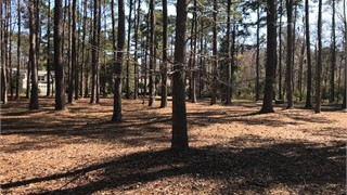 1 East Summerton Court thumbnail image 3