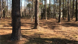 1 East Summerton Court thumbnail image 5