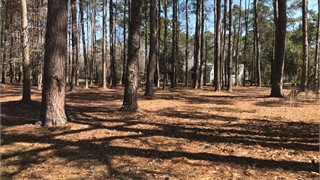 1 East Summerton Court thumbnail image 6