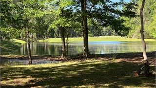 1 East Summerton Court thumbnail image 8