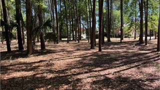 2 Newberry Court thumbnail image 4