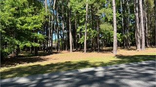 113 Summerton Drive thumbnail image 6