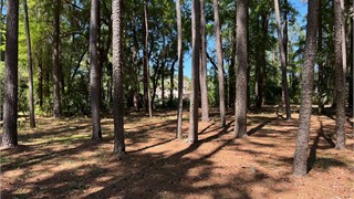 113 Summerton Drive thumbnail image 8