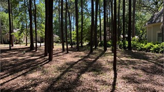 113 Summerton Drive thumbnail image 9