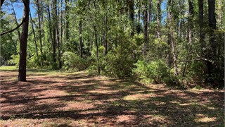 97 Summerton Drive thumbnail image 6