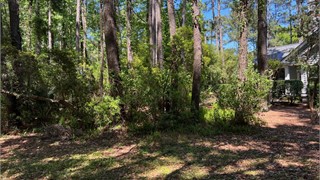 97 Summerton Drive thumbnail image 7