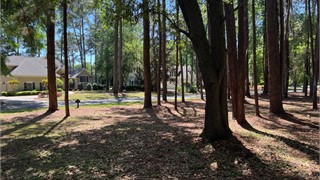 97 Summerton Drive thumbnail image 8