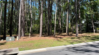 97 Summerton Drive thumbnail image 9